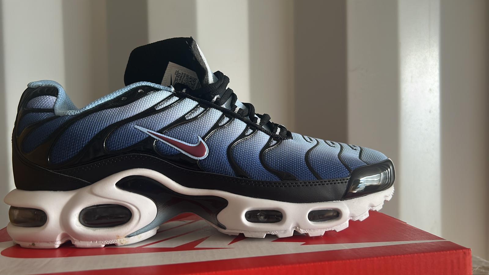 Nike Air Max TN Trainers – Blue Gradient